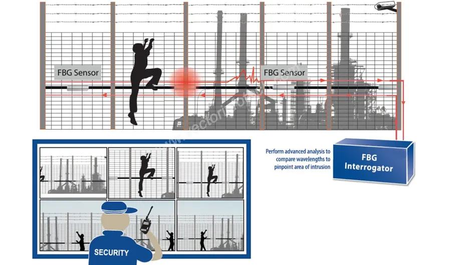 Comprehensive Protection. Immediate Response.